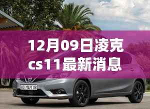 凌克CS11最新发现,小巷深处的独特风味——隐藏版特色小店揭秘