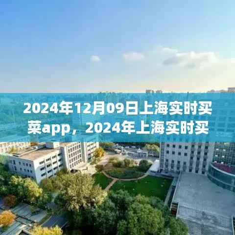 2024年上海实时买菜app的崛起与用户体验革新