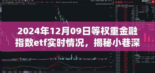 揭秘小巷深处的金融宝藏,2024年等权重金融指数ETF实时动态报告(附日期)