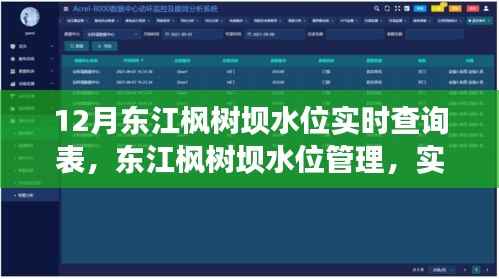 东江枫树坝水位管理,实时查询背后的权衡与观点探讨
