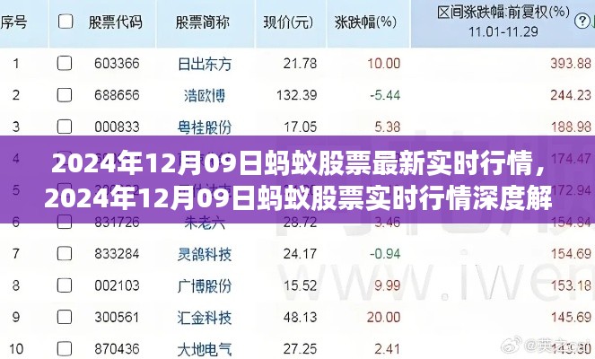 2024年12月09日蚂蚁股票实时行情解析及深度探讨