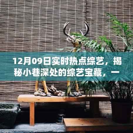 揭秘小巷深处的综艺宝藏,特色小店惊喜之旅(12月09日实时热点综艺)