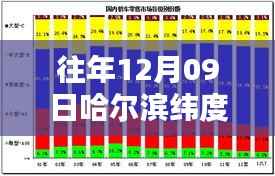 科技前沿,哈尔滨实时纬度数据更新利器,精准定位体验新篇章