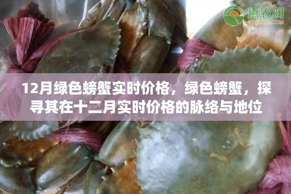 探寻绿色螃蟹在十二月实时价格走势及市场地位
