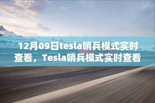 Tesla哨兵模式实时查看,利与弊的探讨