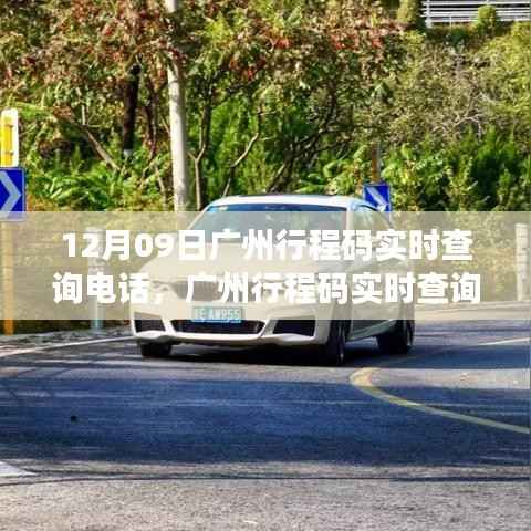 广州行程码实时查询电话详解,服务评测、特性体验与竞品对比