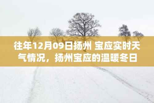 扬州宝应冬日友情故事,12月09日的实时天气与温暖情谊