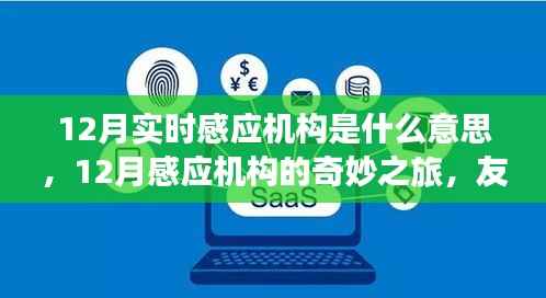 12月实时感应机构,友情与温情的奇妙相伴之旅