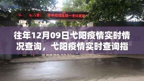 往年12月09日弋阳疫情实时情况详解,查询指南与步骤解析