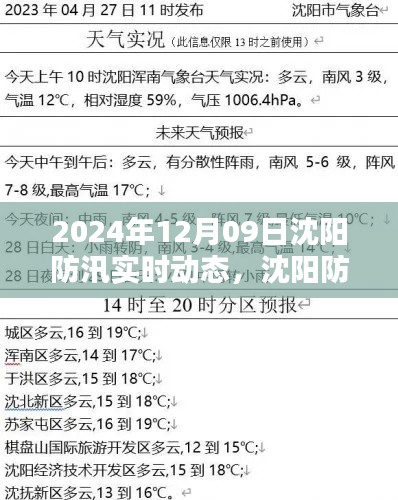 2024年12月09日沈阳防汛实时动态,城市防线的坚守与应对