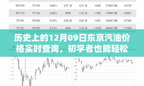 历史上的东京汽油价格实时查询攻略,初学者进阶版全指南