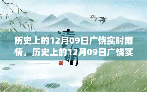 历史上的广饶雨情深度解读,多方视角与我的观点分享