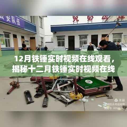 揭秘铁锤实时视频在线观看背后的真相,警惕违法犯罪风险,十二月铁锤视频在线观看指南