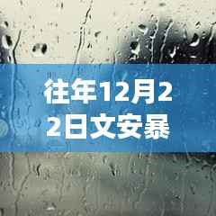 逆境中的阳光,文安暴雨背后的成长力量与实时情况查询