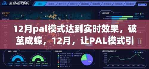 实时引领,PAL模式助力破茧成蝶,迈向成功舞台的十二月奇迹