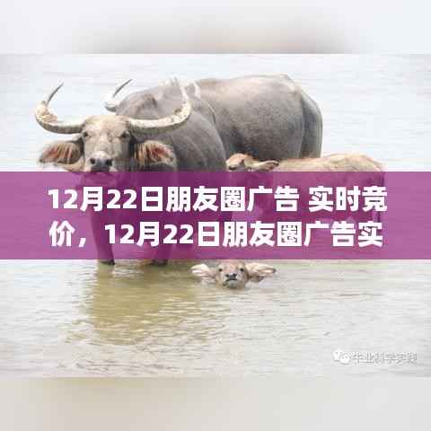 12月22日朋友圈广告实时竞价,机遇与挑战并存的商业时刻