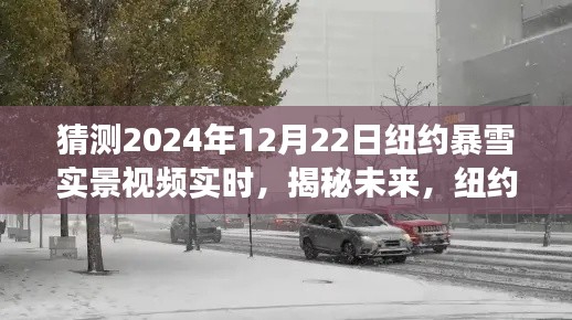 揭秘未来，纽约暴雪日——2024年纽约暴雪实景视频展望与揭秘