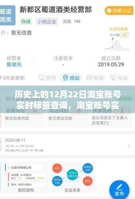 淘宝账号实时标签查询系统的历史沿革与影响回顾,12月22日回顾篇