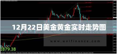 美金黄金走势图,最新实时动态分析