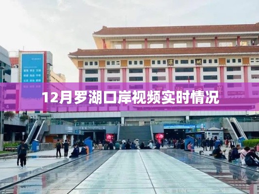 罗湖口岸12月视频实时更新