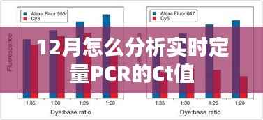 实时定量PCR的Ct值分析指南，解读十二月数据