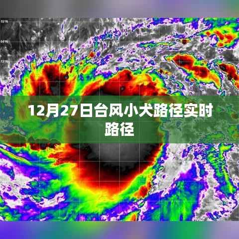 台风小犬实时路径追踪报道