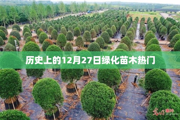 杳无音讯 第3页