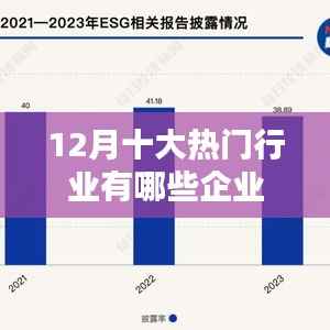 揭秘十二月热门行业领军企业
