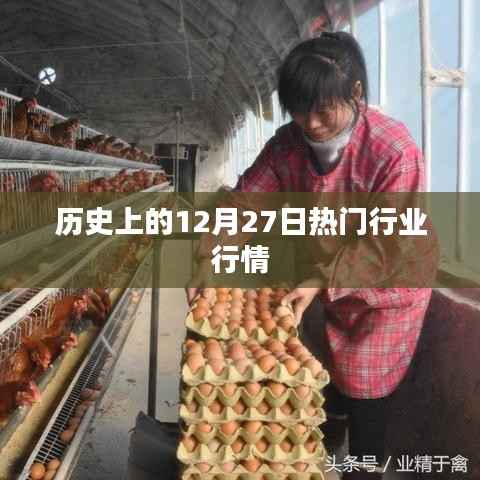 历史上的大事件，12月27日各行业行情概览