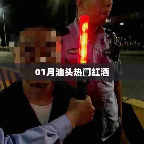 汕头一月热门红酒榜单