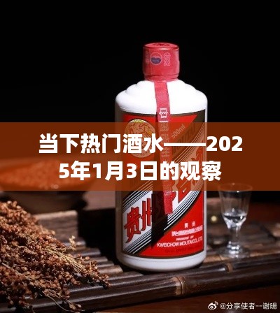 当下热门酒水市场趋势观察报告