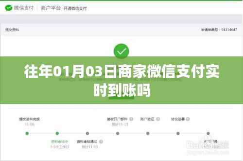 商家微信支付实时到账时间解析,历年经验分享