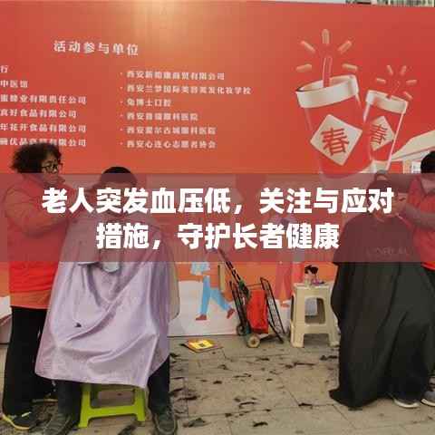 老人突发血压低,关注与应对措施,守护长者健康