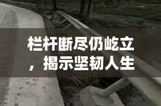 栏杆断尽仍屹立,揭示坚韧人生的不倒智慧