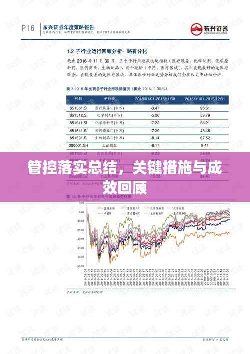 管控落实总结,关键措施与成效回顾