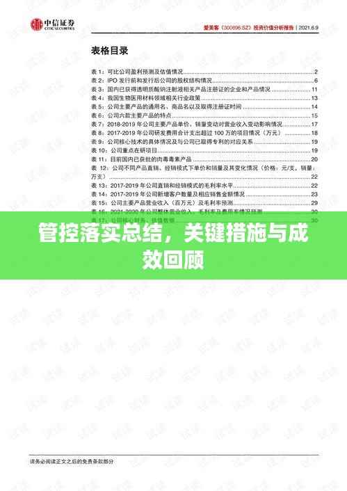 管控落实总结,关键措施与成效回顾