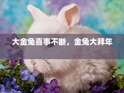 大金兔喜事不断,金兔大拜年