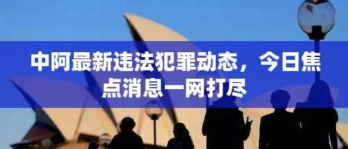 中阿最新违法犯罪动态,今日焦点消息一网打尽