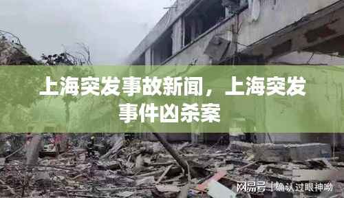 上海突发事故新闻,上海突发事件凶杀案