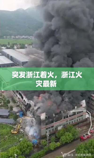 突发浙江着火,浙江火灾最新