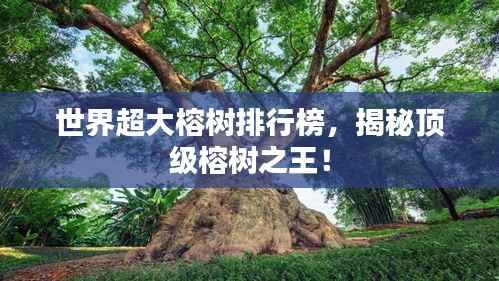 世界超大榕树排行榜,揭秘顶级榕树之王!