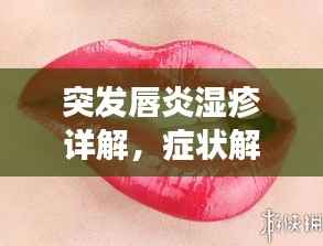 突发唇炎湿疹详解,症状解析与应对攻略,图片大全助你直观了解