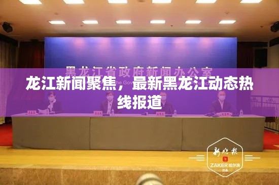 龙江新闻聚焦,最新黑龙江动态热线报道