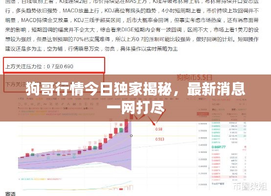 狗哥行情今日独家揭秘，最新消息一网打尽