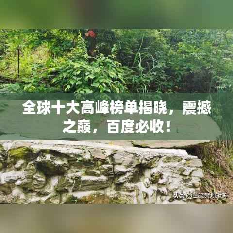 全球十大高峰榜单揭晓,震撼之巅,百度必收!