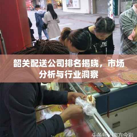 韶关配送公司排名揭晓,市场分析与行业洞察