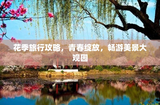 花季旅行攻略,青春绽放,畅游美景大观园