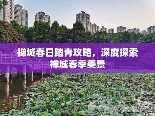 禅城春日踏青攻略,深度探索禅城春季美景