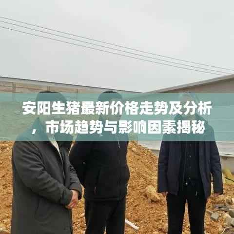 安阳生猪最新价格走势及分析,市场趋势与影响因素揭秘