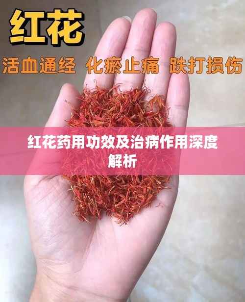 红花药用功效及治病作用深度解析